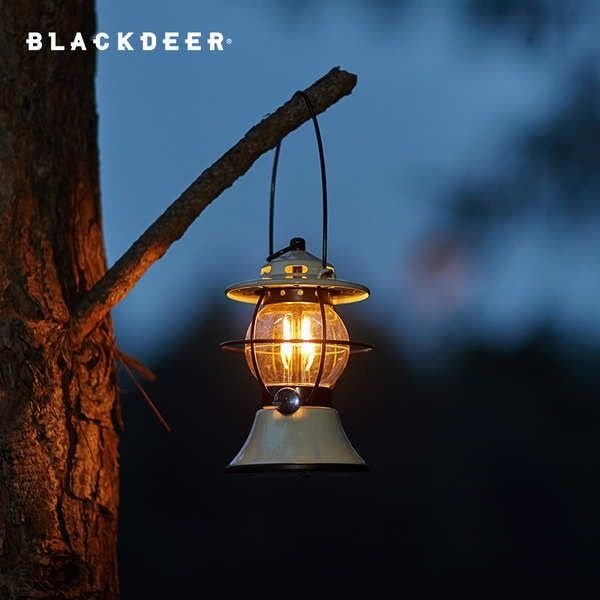 Blackdeer The Moon LED Camping Light BD-12117301 