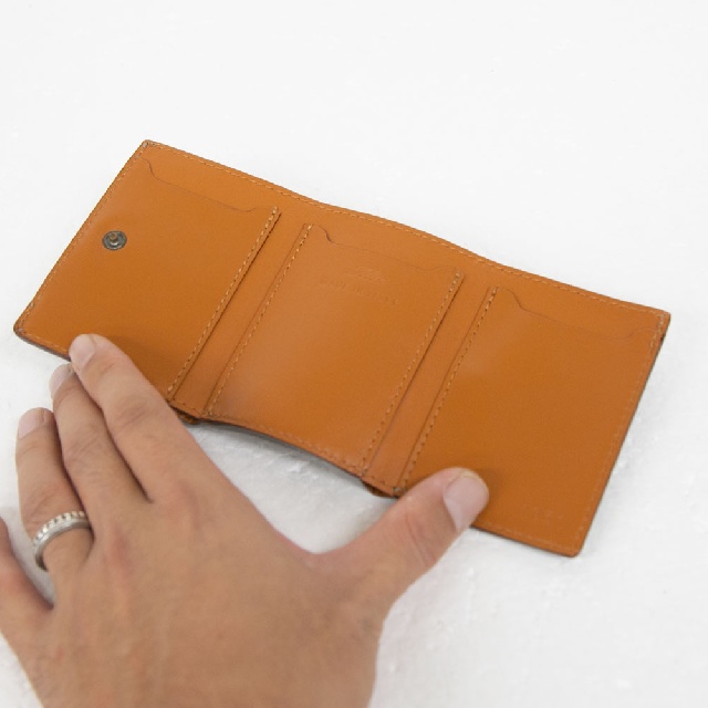 FELISI Mini Wallet フェリージ クロコダイル スタンプ ミニ財布 1031/SA-9