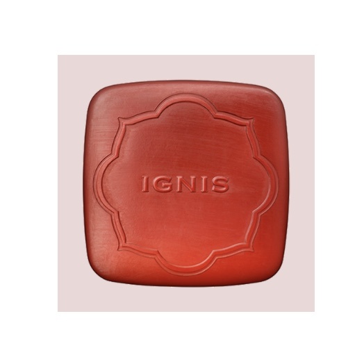 IGNIS イグニス モイスト エフフォーリア アンバーソープ（洗顔石鹸 ）
