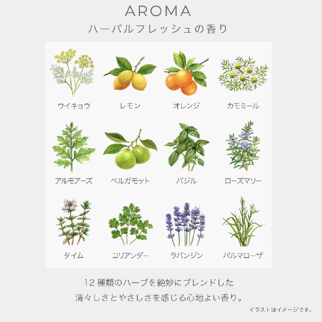 IGNIS　イグニス　リファイニング　プレミアム　ソープ　（洗顔料）　41032-2