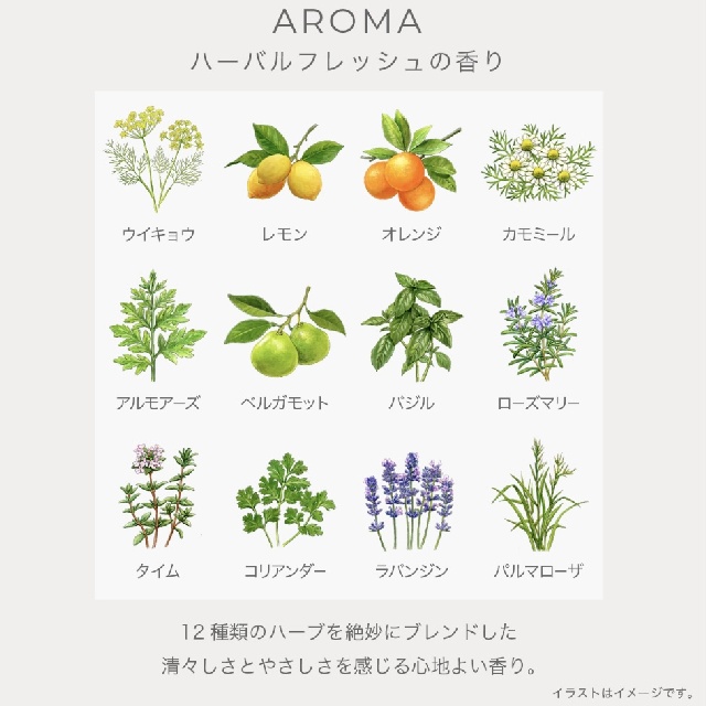 IGNIS イグニス ホワイトニング ミルクⅠ（薬用美白乳液）200g-2
