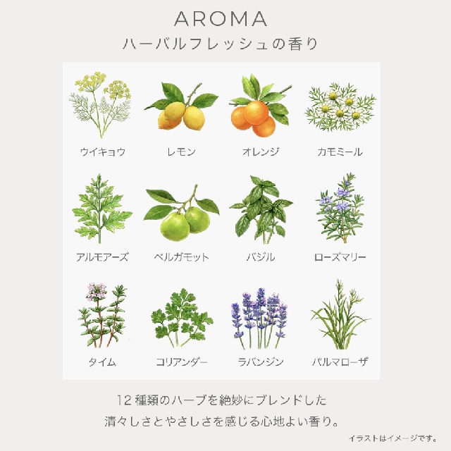 IGNIS イグニス ホワイトニング ローション（薬用美白化粧水）110ml-2