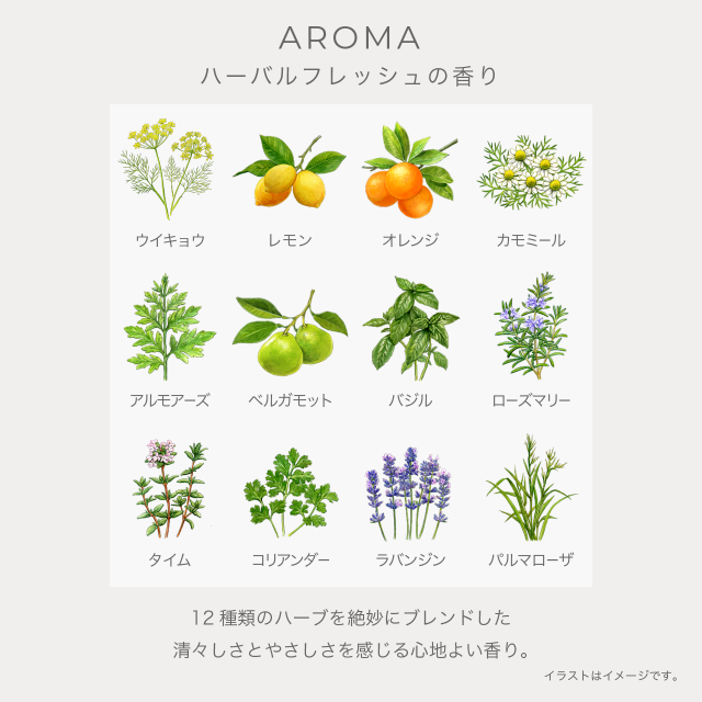 11月18日発売＜予約受付中＞　IGNIS　イグニス　　モイスト　ホットクレンジングジェル 　41156-2