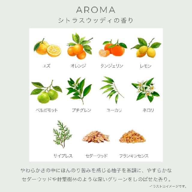 11月18日発売＜予約受付中＞　IGNIS　イグニス　　ナイトウェル　ボディミルク 　41157-2