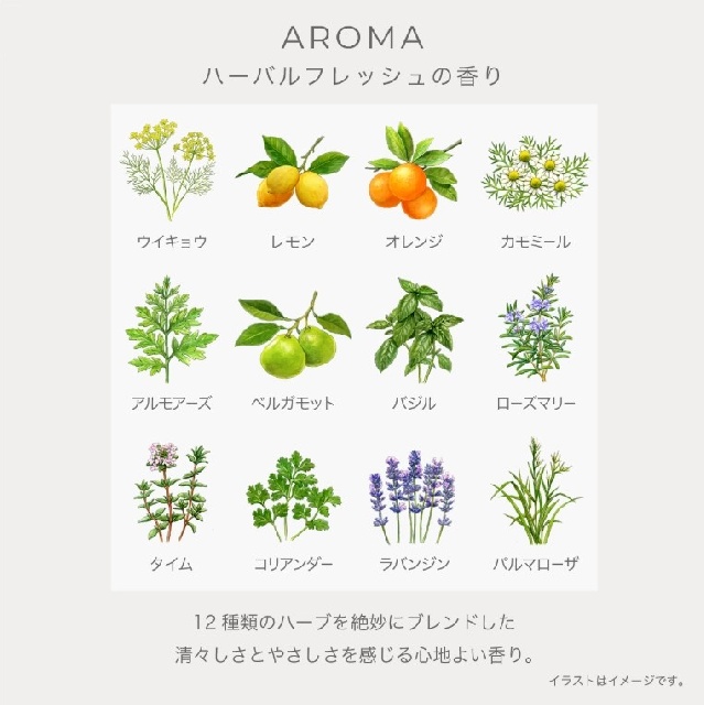 3月17日発売＜予約受付中＞　IGNIS　イグニス　テンダー　ピュア　ローション　41163　-2