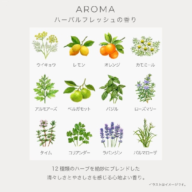 3月17日発売＜予約受付中＞　IGNIS　イグニス　テンダー　ピュア　クリーム　41162　-2